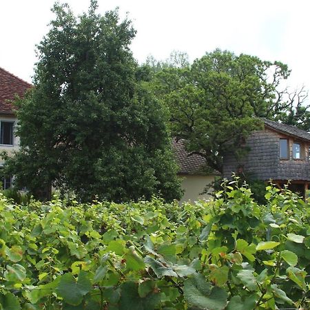 Bed and Breakfast L'Entre-Coeur Menetru-le-Vignoble Екстер'єр фото